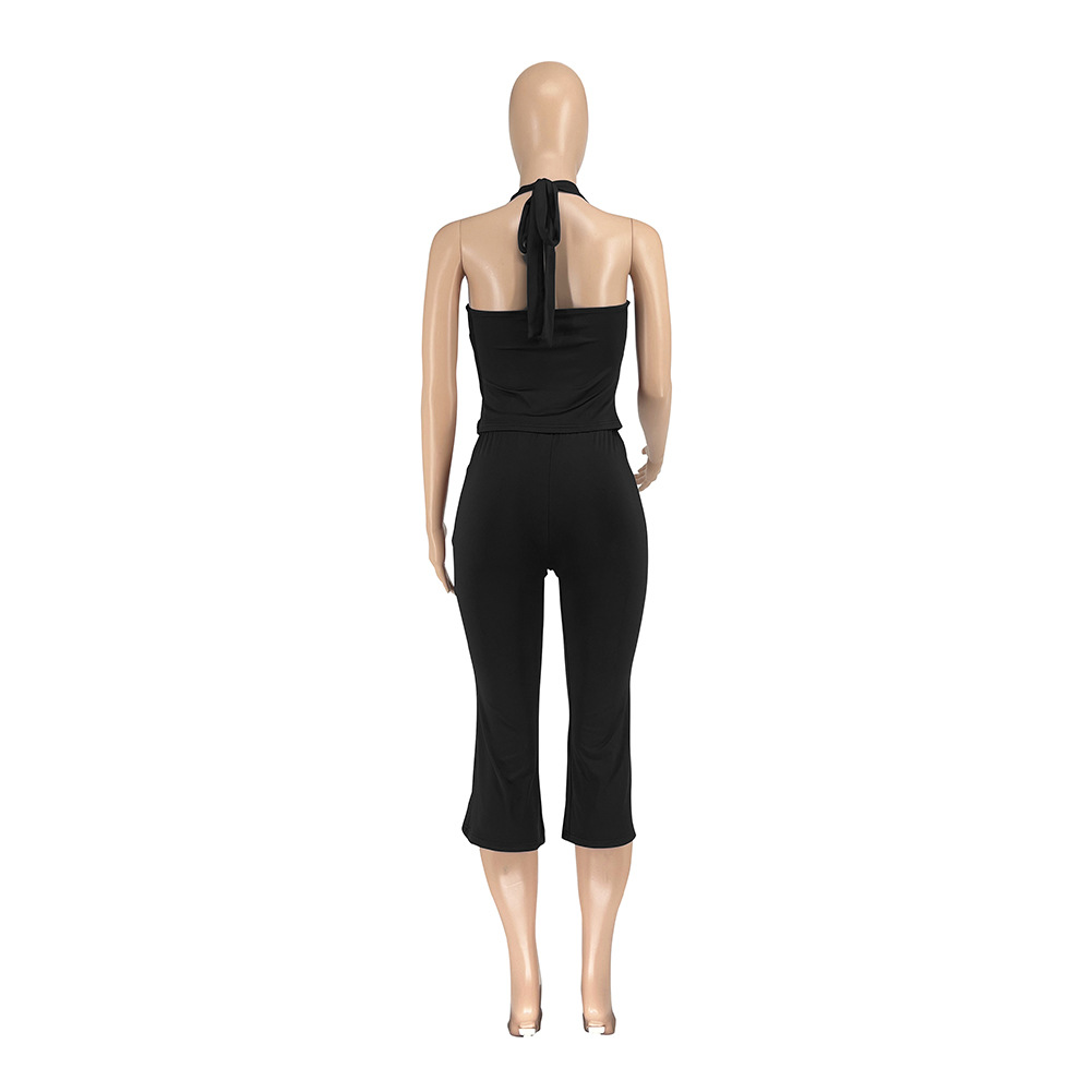Women Spring Backless Halter Neck Sleeveless Vest and Pants Two Piece Set