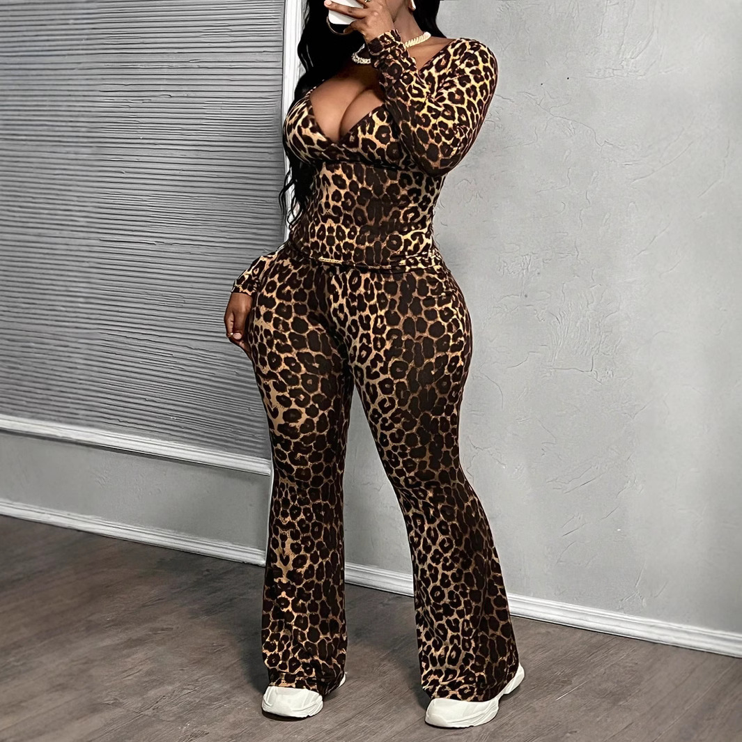 Women Leopard Print Long Sleeve V Neck Top and Wide Leg PantsTwo Piece Set