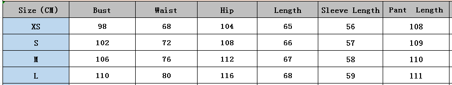 Women Turndown Collar long-sleeved single-breasted printed shirt wide-leg pants Two Piece Set