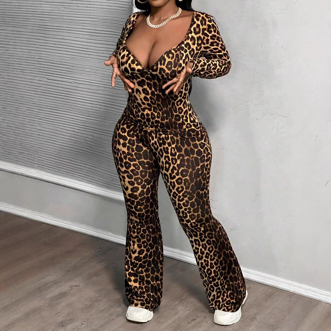 Women Leopard Print Long Sleeve V Neck Top and Wide Leg PantsTwo Piece Set