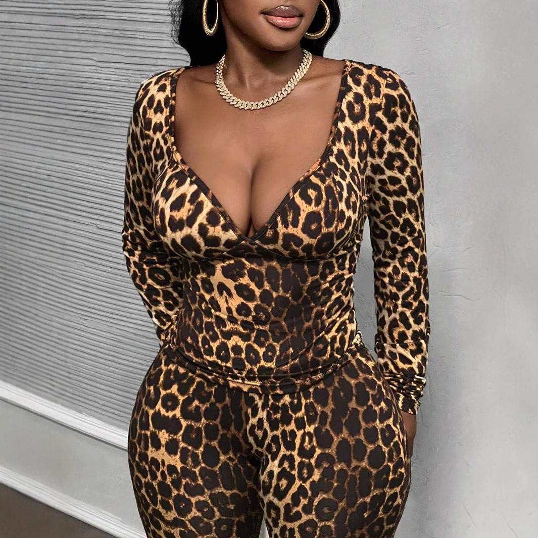 Women Leopard Print Long Sleeve V Neck Top and Wide Leg PantsTwo Piece Set