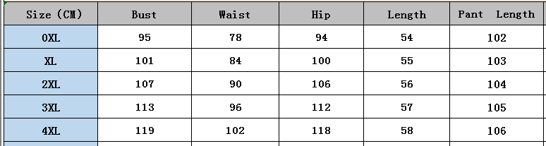 Women Leopard Print Long Sleeve V Neck Top and Wide Leg PantsTwo Piece Set