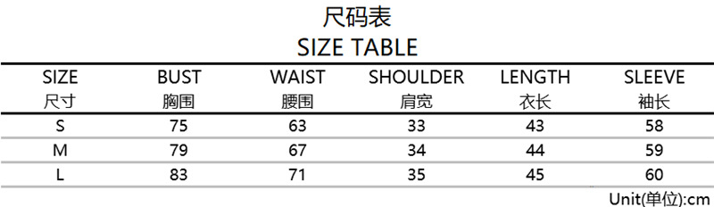 Women's Angel Print Mesh Long-Sleeve T-Shirt