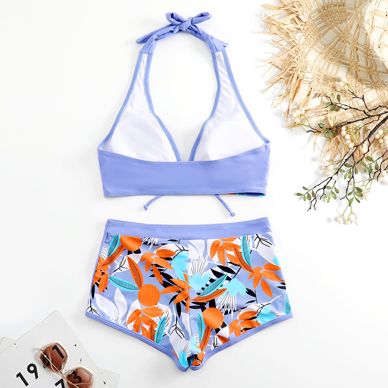 Sexy Printed Two-Piece Bikini Swimsuit for Women