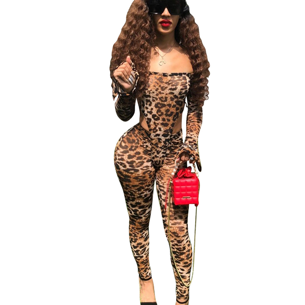 Fashionable and Sexy Mesh Leopard Print Bodysuit Slim Pants Two-Piece Set for Women