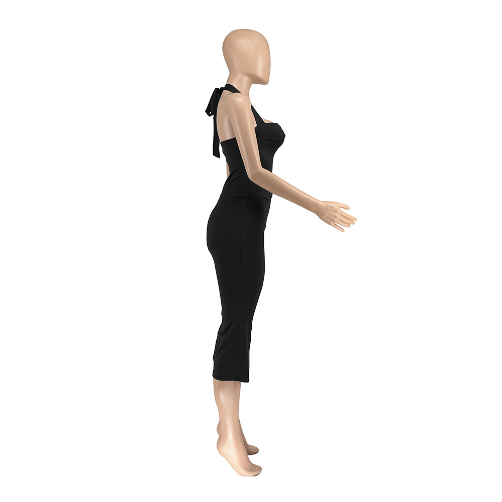 Women Spring Backless Halter Neck Sleeveless Vest and Pants Two Piece Set