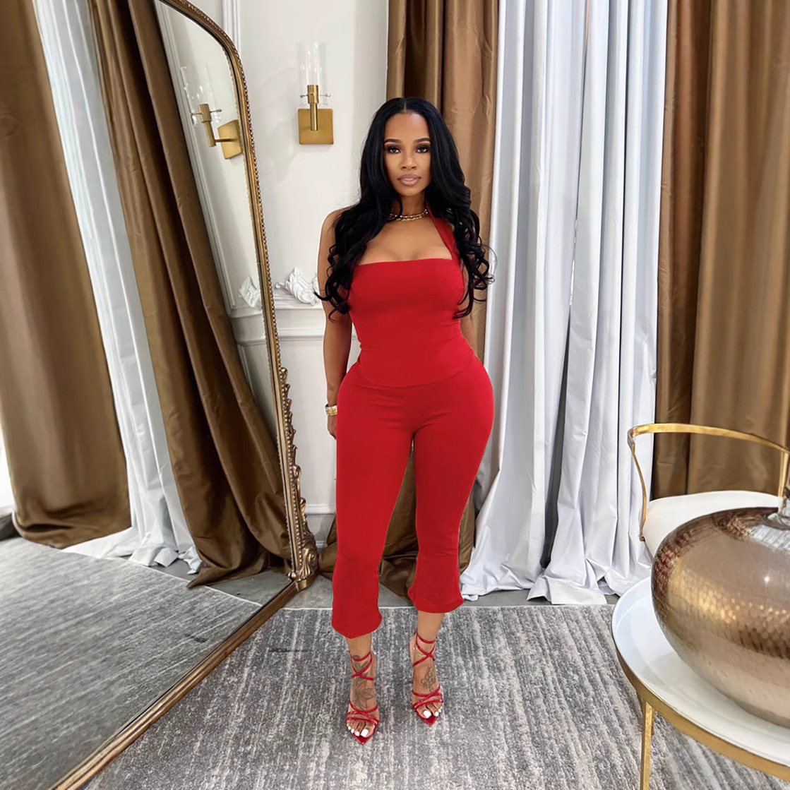 Women Spring Backless Halter Neck Sleeveless Vest and Pants Two Piece Set