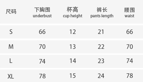 Sexy Lingerie Leopard Bra and Thong Two-Piece Set